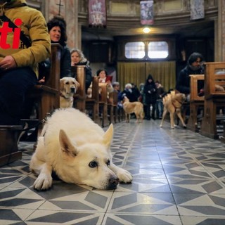 Un'immagine (ph. Merfephoto - Efrem Zanchettin) dell'edizione 2025 della benedizione