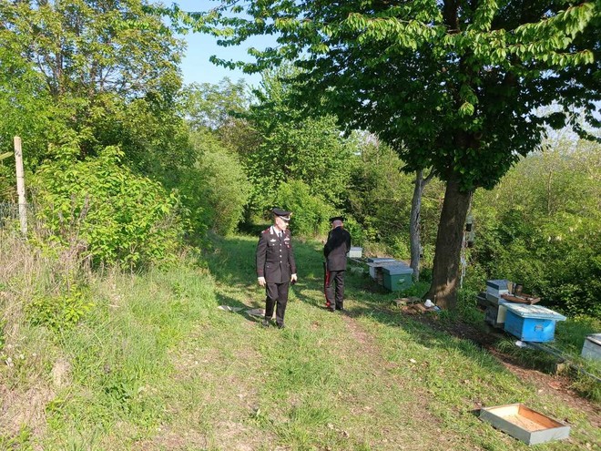 I carabinieri al lavoro a Cossombrato