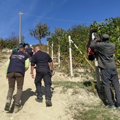 Immagine d'archivio Immagine d'archivio