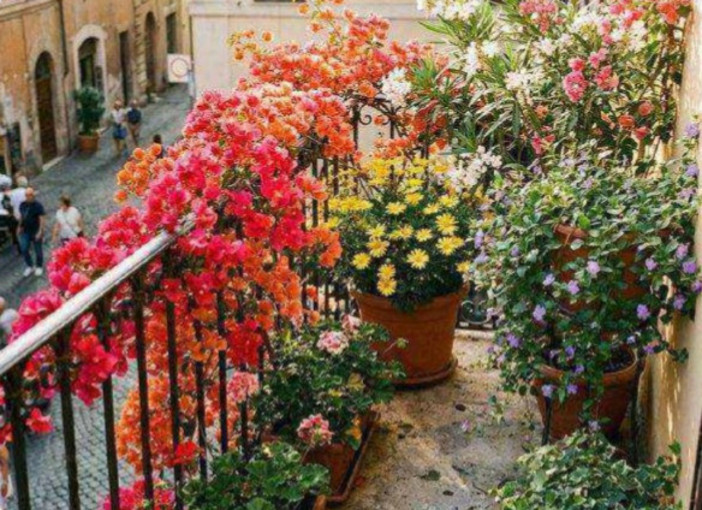 Castelnuovo Belbo proroga il concorso “Giardini e Balconi Fioriti 2026” Castelnuovo Belbo proroga il concorso “Giardini e Balconi Fioriti 2026”