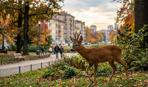 Immagine generica realizzata con ausilio di AI