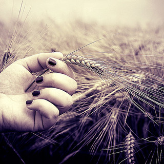 Caos buoni celiachia, l'iter burocratico blocca la spendibilità nazionale