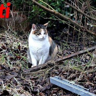 Merphefoto Merphefoto