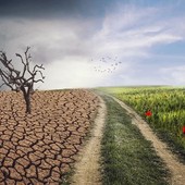 La cura del creato tra scienza e agricoltura: a Cherasco un confronto su cereali, allevamenti e clima