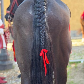 Il fiocco rosso contro la violenza sulle donne sul cavallo del Capitano del Palio Gianbattista Filippone