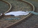 Persona investita dal treno a Cambiano: circolazione sospesa sulla Torino-Asti