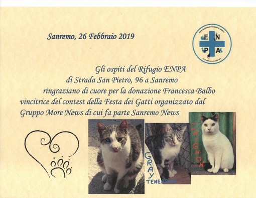 L'Enpa di Sanremo riceve il premio del gruppo Morenews dedicato ai gatti