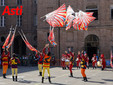 Le immagini dei campionati (Merphefoto) Le immagini dei campionati (Merphefoto)