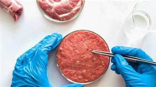Il Parlamento dice no alla carne sintetica, Coldiretti Piemonte applaude