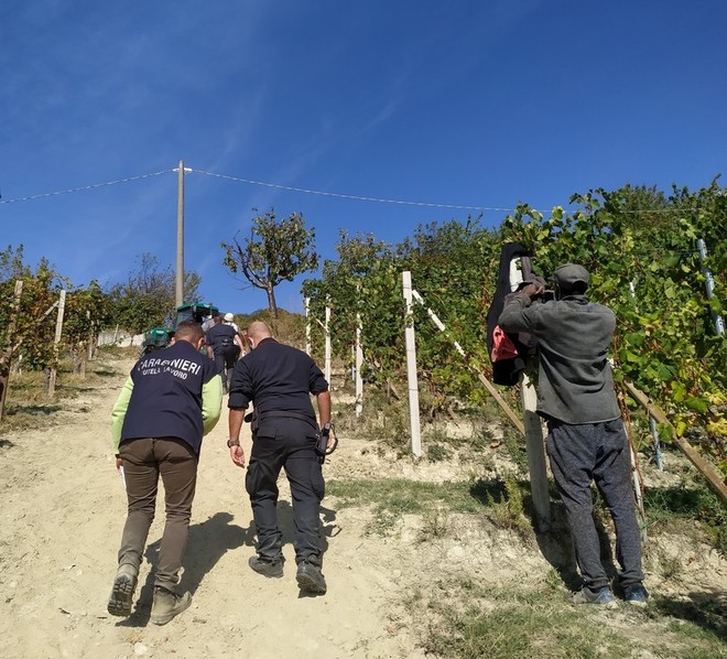 Carabinieri del Nucleo Tutela del Lavoro impegnati in un'attività di contrasto del caporalato (foto d'archivio)