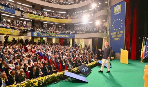 Coldiretti Piemonte: “Ddl agroalimentare, passo storico per difendere una filiera da 707 miliardi e le eccellenze regionali” Coldiretti Piemonte: “Ddl agroalimentare, passo storico per difendere una filiera da 707 miliardi e le eccellenze regionali”