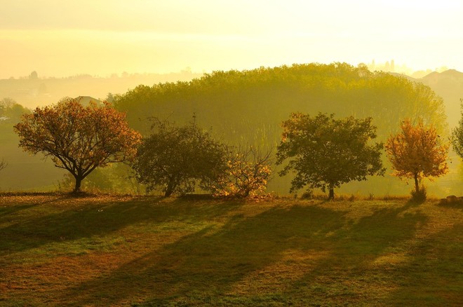 Paysage+ e Langhe Roero: paesaggio, turismo lento e sostenibilità al centro dei nuovi PITER+