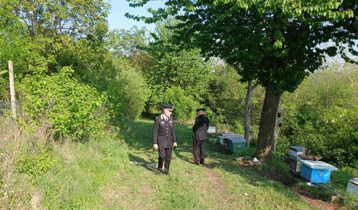 I carabinieri al lavoro a Cossombrato