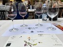 Cocconato si prepara a brindare con &quot;Cocco Wine 2024&quot;