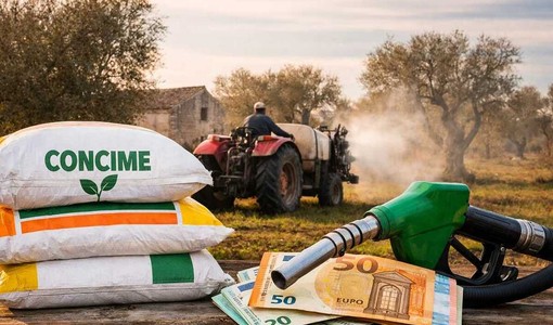 Immagine generata con ausilio di AI