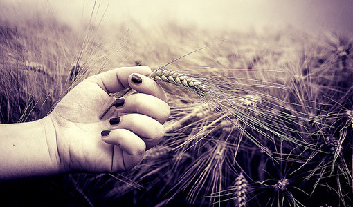 Caos buoni celiachia, l'iter burocratico blocca la spendibilità nazionale Caos buoni celiachia, l'iter burocratico blocca la spendibilità nazionale