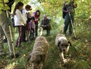 Vacanze Astigiane a caccia di tartufi