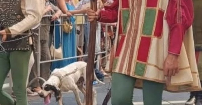 Dopo il Palio, le critiche di Miroglio: "Angosciante vedere un cane stremato e assetato nel corteo, era evitabile?" Dopo il Palio, le critiche di Miroglio: "Angosciante vedere un cane stremato e assetato nel corteo, era evitabile?"