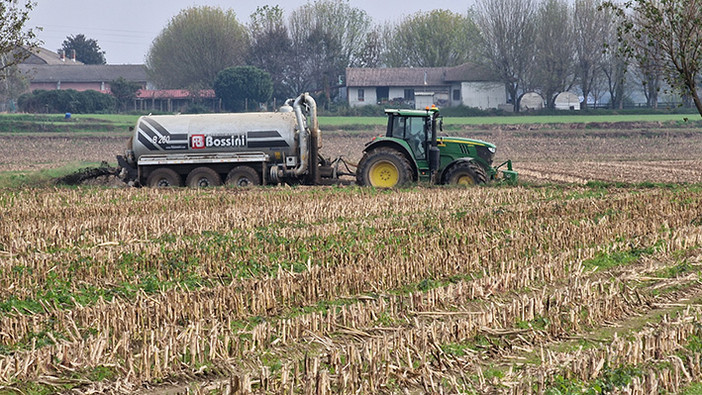 Riso, l'allarme di Coldiretti Piemonte: "Il settore è in crisi, il Governo convochi subito il Tavolo nazionale" Riso, l'allarme di Coldiretti Piemonte: "Il settore è in crisi, il Governo convochi subito il Tavolo nazionale"