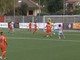 L'Alessandria scappa dopo il 2-0 alla Biellese, ospiti Benedetto e mister Boschetto L'Alessandria scappa dopo il 2-0 alla Biellese, ospiti Benedetto e mister Boschetto