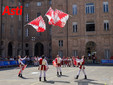 Le immagini dei campionati (Merphefoto) Le immagini dei campionati (Merphefoto)