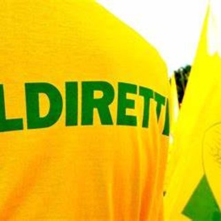 Coldiretti Piemonte dice &quot;no&quot; al fondo unico UE: &quot;A rischio agricoltori e salute dei cittadini&quot;
