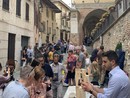 "Cocco... Wine 2025": tra vino, sapori e un paesaggio da scoprire "Cocco... Wine 2025": tra vino, sapori e un paesaggio da scoprire
