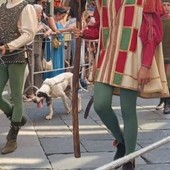 Dopo il Palio, le critiche di Miroglio: "Angosciante vedere un cane stremato e assetato nel corteo, era evitabile?"