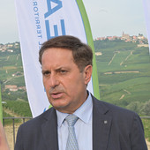 Pierpaolo Carini, presidente e amministratore delegato della multiservizi albese: i suoi difensori hanno chiesto il rito abbreviato Pierpaolo Carini, presidente e amministratore delegato della multiservizi albese: i suoi difensori hanno chiesto il rito abbreviato