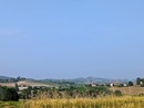 "Il cinema in vigna" a Tuffo: una serata tra film e vino sotto le stelle