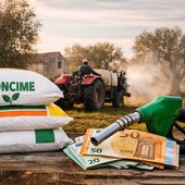 Immagine generata con ausilio di AI