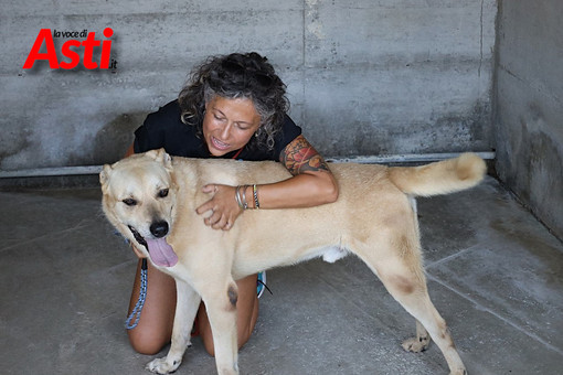 Asti, il pane avanzato della mensa scolastica diventa aiuto concreto per il Canile municipale