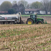 Riso, l'allarme di Coldiretti Piemonte: "Il settore è in crisi, il Governo convochi subito il Tavolo nazionale" Riso, l'allarme di Coldiretti Piemonte: "Il settore è in crisi, il Governo convochi subito il Tavolo nazionale"
