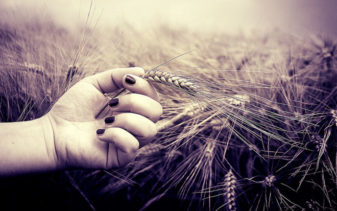 Caos buoni celiachia, l'iter burocratico blocca la spendibilità nazionale