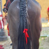 Il fiocco rosso contro la violenza sulle donne sul cavallo del Capitano del Palio Gianbattista Filippone