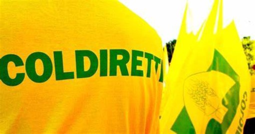 Coldiretti Piemonte dice &quot;no&quot; al fondo unico UE: &quot;A rischio agricoltori e salute dei cittadini&quot;