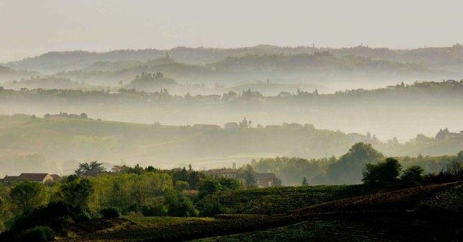 L'Asti Rosé è ufficialmente realtà: via libera in Gazzetta Ufficiale per il nuovo spumante