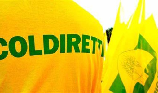 Coldiretti Piemonte dice &quot;no&quot; al fondo unico UE: &quot;A rischio agricoltori e salute dei cittadini&quot;
