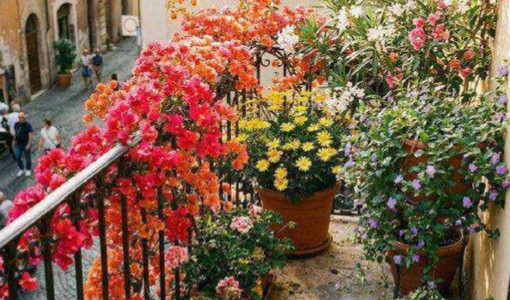 Castelnuovo Belbo proroga il concorso “Giardini e Balconi Fioriti 2026” Castelnuovo Belbo proroga il concorso “Giardini e Balconi Fioriti 2026”