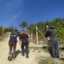 Carabinieri del Nucleo Tutela del Lavoro impegnati in un'attività di contrasto del caporalato (foto d'archivio)