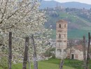 La splendida chiesa romanica di San Nazario e Celso