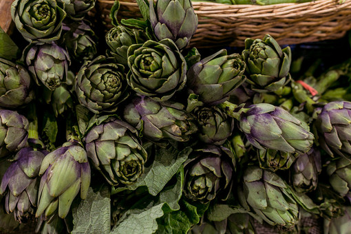 Costigliole d’Asti celebra il carciofo astigiano con la prima Sagra dell’articiòch
