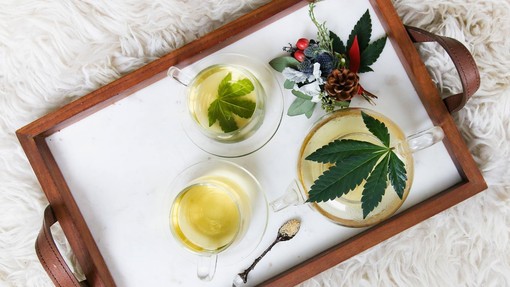 Hashish legale: cosa dice davvero la normativa in Italia