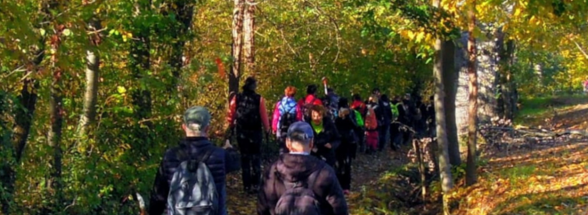 Villanova d’Asti, la Passeggiata ecologica del Traversola celebra venticinque anni Villanova d’Asti, la Passeggiata ecologica del Traversola celebra venticinque anni