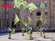 Le immagini dei campionati (Merphefoto) Le immagini dei campionati (Merphefoto)