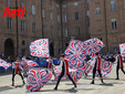 Le immagini dei campionati (Merphefoto) Le immagini dei campionati (Merphefoto)