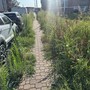 Le foto inviate dal nostro lettore
