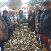 Volontari del Santuario a Bra, che preparano rami di ulivo Volontari del Santuario a Bra, che preparano rami di ulivo