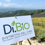 Mostra del Fungo: il Distretto del cibo Monregalese-Cebano racconta le bontà locali Mostra del Fungo: il Distretto del cibo Monregalese-Cebano racconta le bontà locali