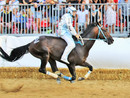 Dino Pes, qui vincitore del Palio 2019 per la Cattedrale